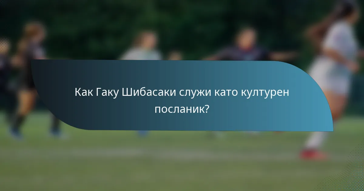 Как Гаку Шибасаки служи като културен посланик?