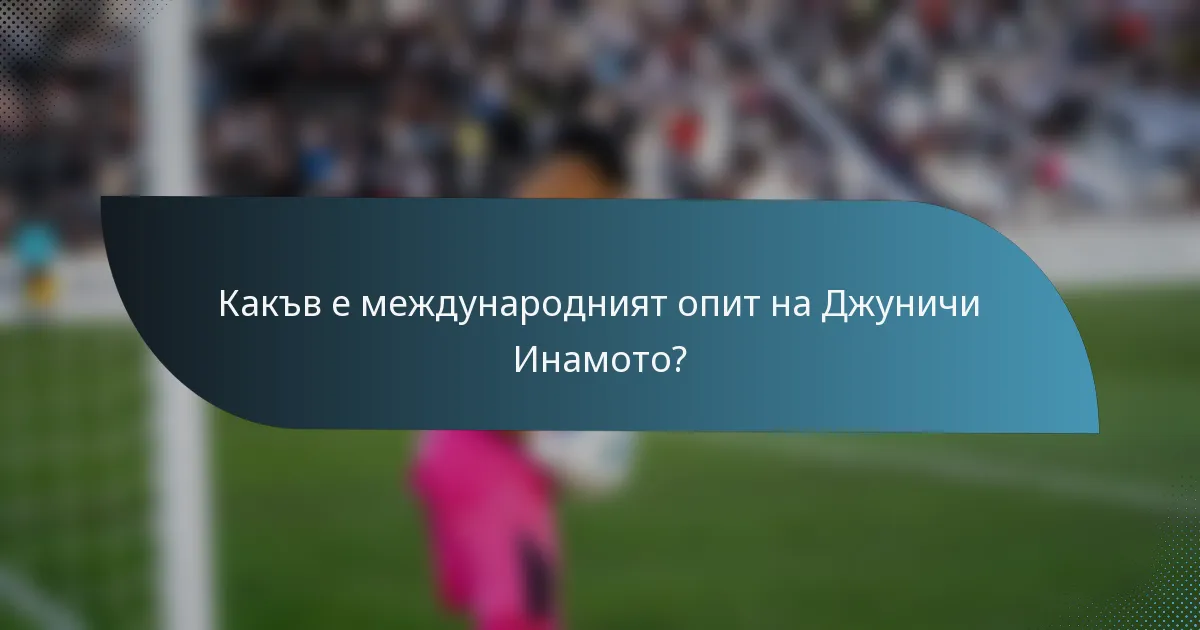 Какъв е международният опит на Джуничи Инамото?